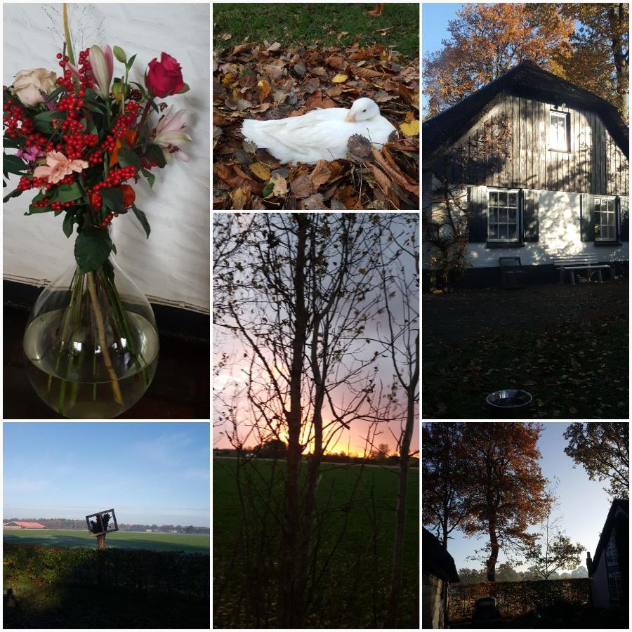 Grenier'S Bed & Breakfast Punthorst Luaran gambar